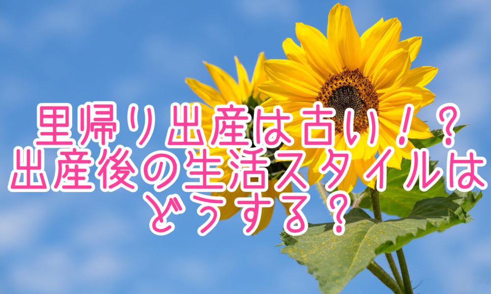 里帰り出産は古い 出産後の生活スタイルはどうする 普通のワーママの日常 里帰り出産は古い 出産後の生活スタイルはどうする 普通のワーママの日常